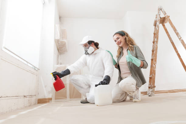 Best Basement Mold Removal  in Watauga, TX