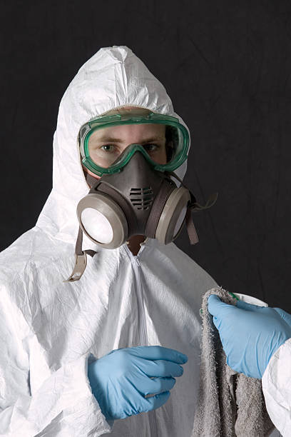 Best Asbestos and Lead Testing During Mold Inspection  in Watauga, TX